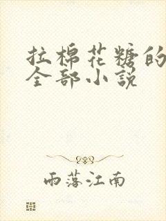 拉棉花糖的兔子全部小说