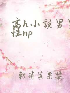 高h小说男男双性np