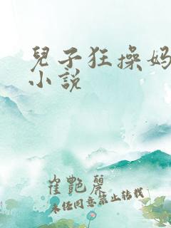 儿子狂操妈妈的小说