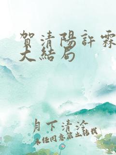 贺清阳许霖小说大结局