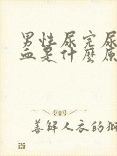 男性尿完尿后有血是什么原因