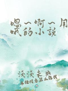 嗯～啊～用力～哦的小说