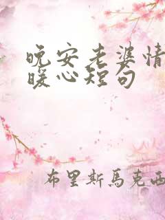 晚安老婆情话最暖心短句