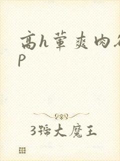 高h荤爽肉欲np
