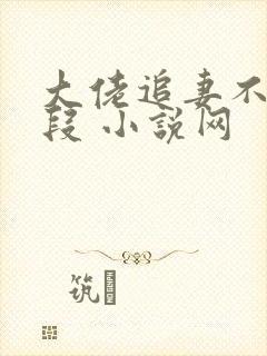 大佬追妻不择手段 小说网