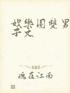 娱乐圈双男主生子文