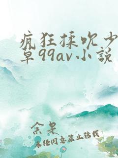 疯狂揉吮少妇嫩草99av小说
