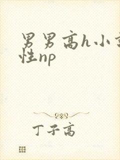 男男高h小说双性np