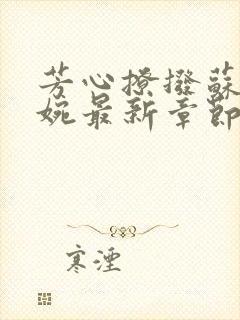 芳心撩拨苏易宋婉最新章节更新内容