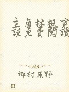 主角林枫穿越小说免费阅读