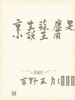 重生苏尘是哪部小说主角