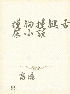 摸胸摸腿舌吻上床小说