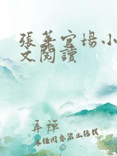 张华官场小说全文阅读