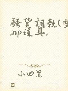 骚货调教(双性,np道具,