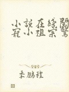 小说在线阅读团宠小祖宗惊艳全球了