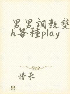 男男调教双性高h各种play