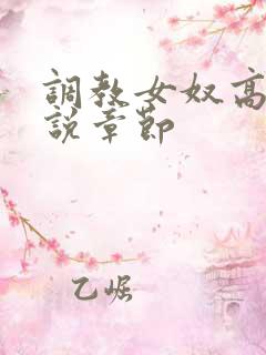 调教女奴高h小说章节