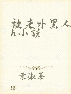 被老外黑人宫交h小说
