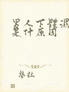 男人下体湿气重是什原因