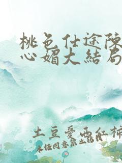 桃色仕途陈斌赵心媚大结局