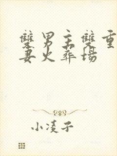 双男主双重生追妻火葬场