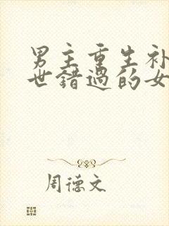 男主重生补偿前世错过的女主