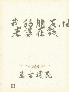 我的朋友,他的老婆在钱