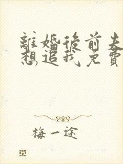 离婚后前夫总是想追我免费阅读