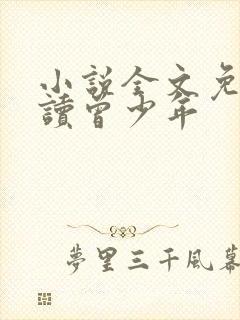 小说全文免费阅读曾少年