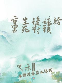 重生后嫁给了渣男死对头