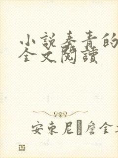 小说秦青的幸福全文阅读