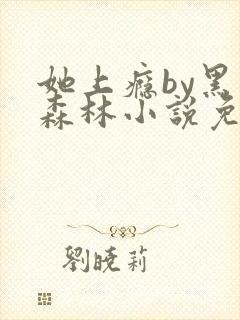 她上瘾by黑暗森林小说免费阅读