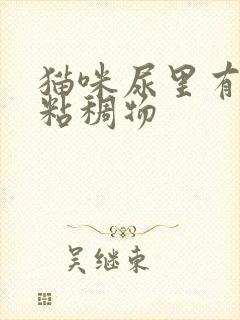 猫咪尿里有黄色粘稠物