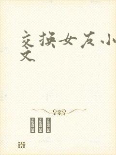 交换女友小说全文