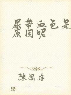 尿带血色是什么原因呢