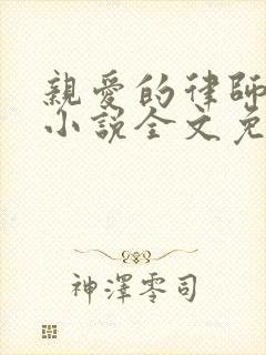 亲爱的律师大人小说全文免费阅读