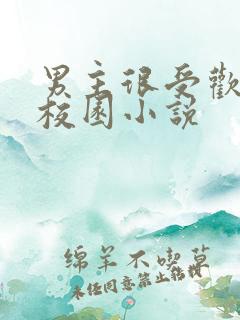 男主很受欢迎的校园小说