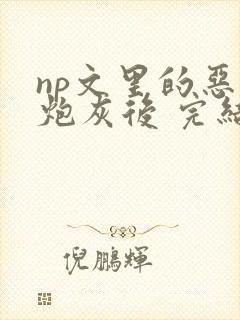 np文里的恶毒炮灰后 完结 番外