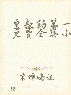 皇叔的第一宠妃免费全集小说