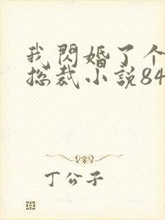 我闪婚了个亿万总裁小说84