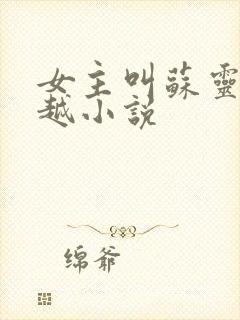 女主叫苏灵的穿越小说