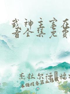 武神主宰在线观看全集免费播放动漫