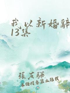 我以新婚辞旧情13集