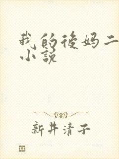 我的后妈二三事小说