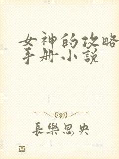 女神的攻略调教手册小说