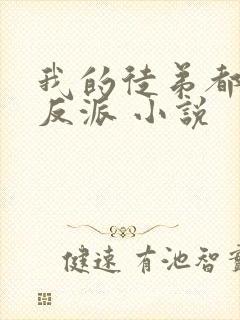 我的徒弟都是大反派 小说