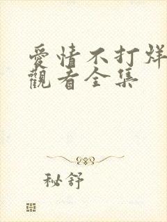 爱情不打烊免费观看全集