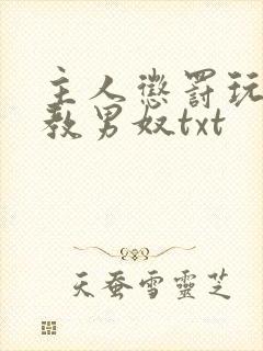 主人惩罚玩弄调教男奴txt