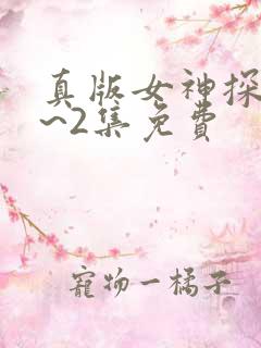 真版女神探侦1~2集免费