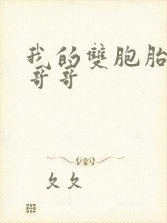 我的双胞胎骚货哥哥